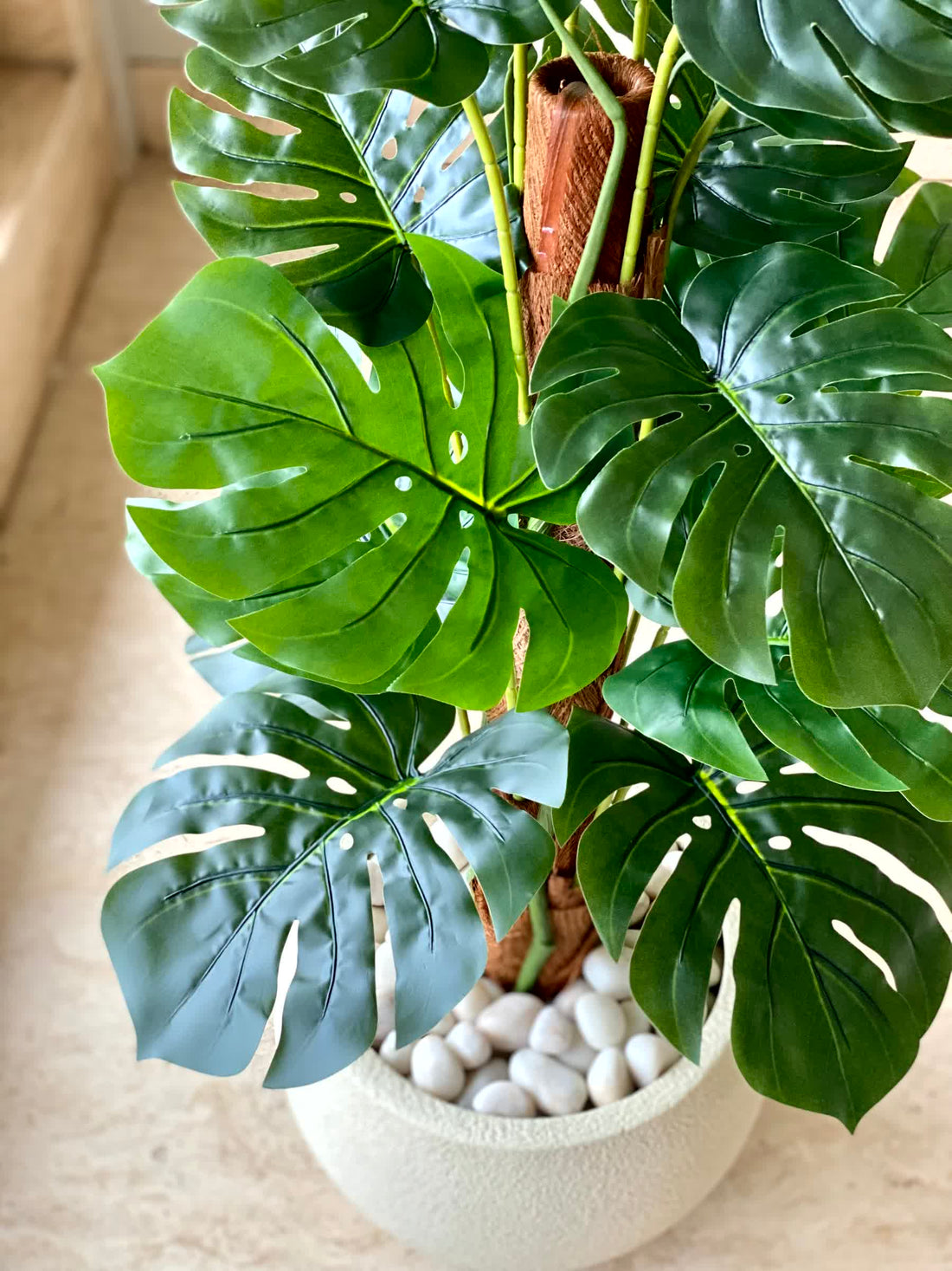 Artificial Monstera Muse Plant - 3.5 Feet