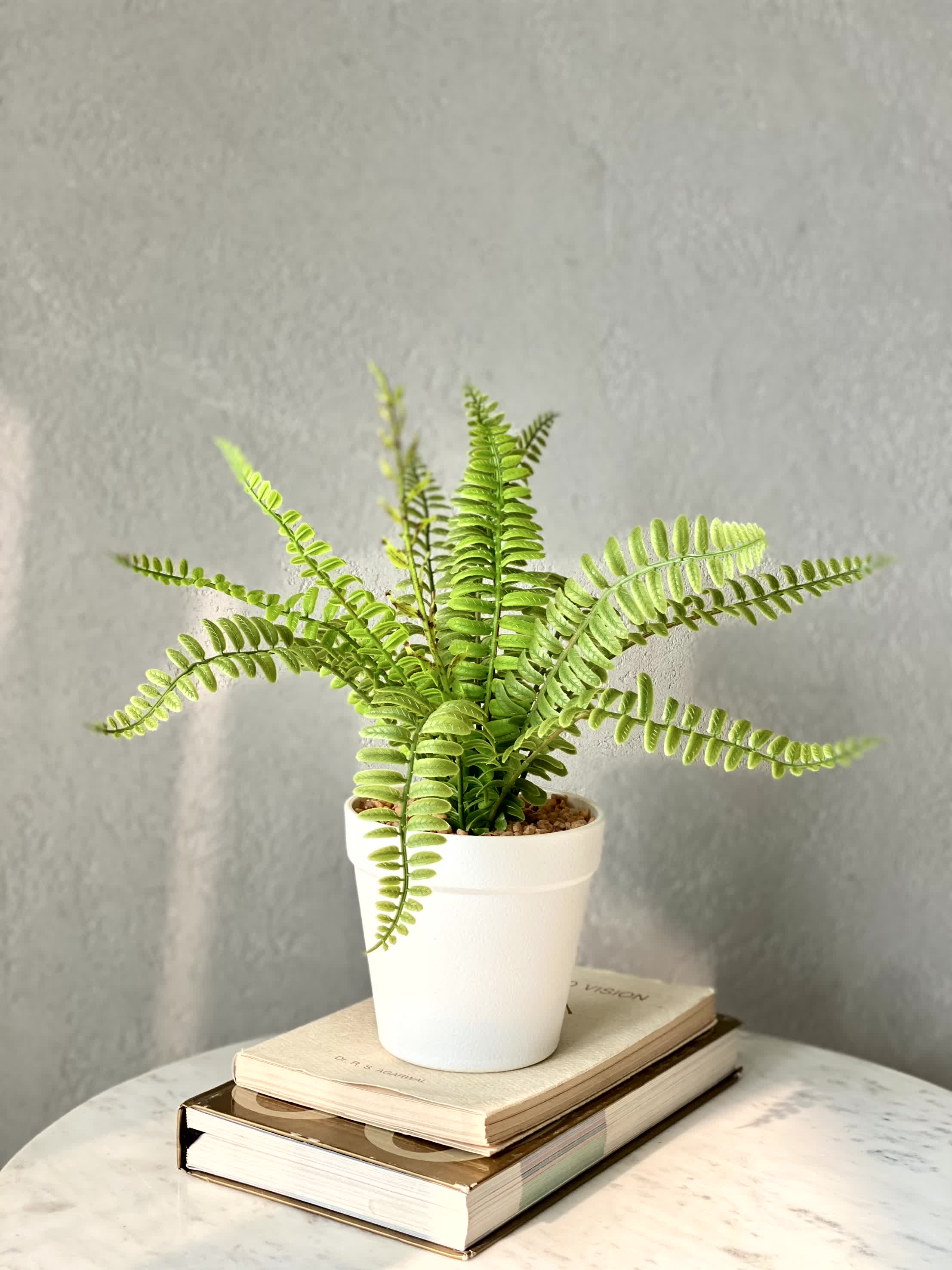 Artificial Fern Bush Plant  - White Pot