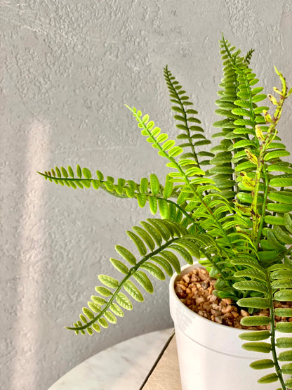 Artificial Fern Bush Plant  - White Pot