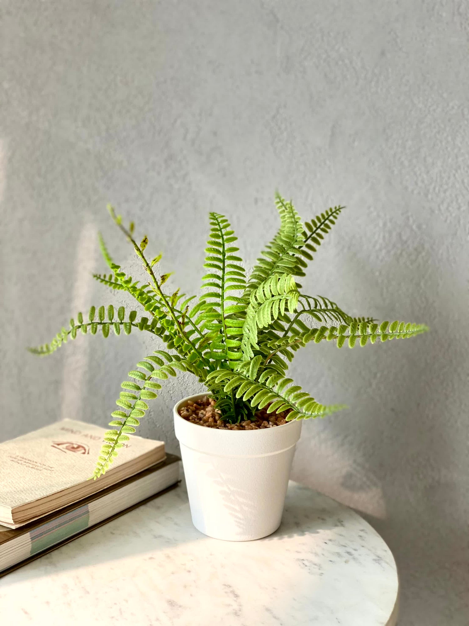 Artificial Fern Bush Plant  - White Pot