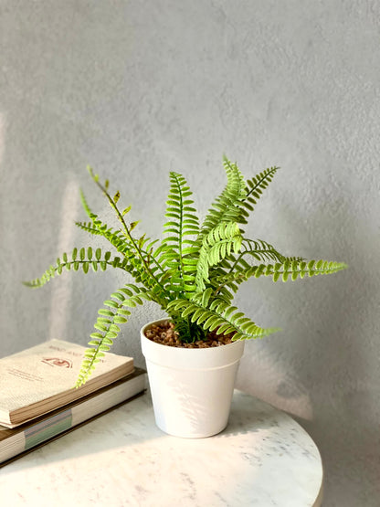 Artificial Fern Bush Plant  - White Pot