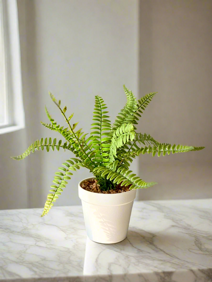 Artificial Fern Bush Plant  - White Pot