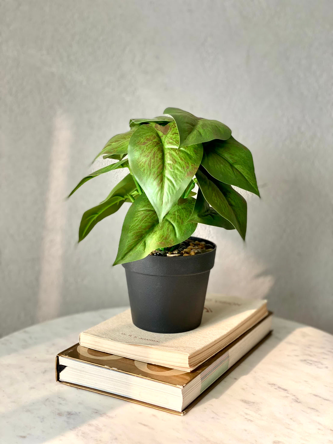 Artificial Golden Pothos Plant - 0.5 Feet