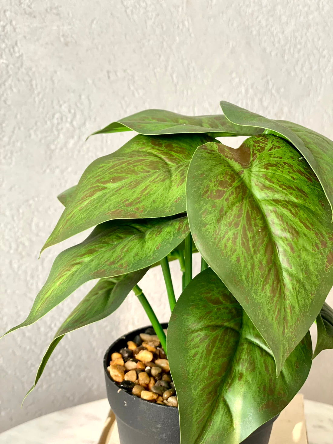 Artificial Golden Pothos Plant - 0.5 Feet