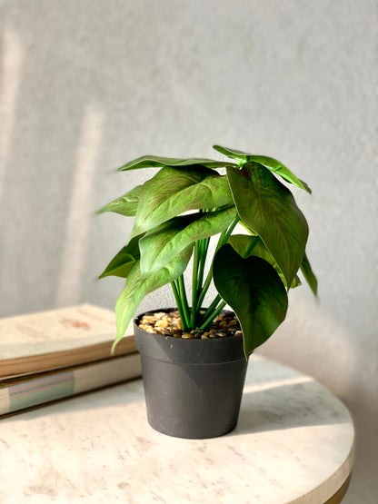 Artificial Golden Pothos Plant