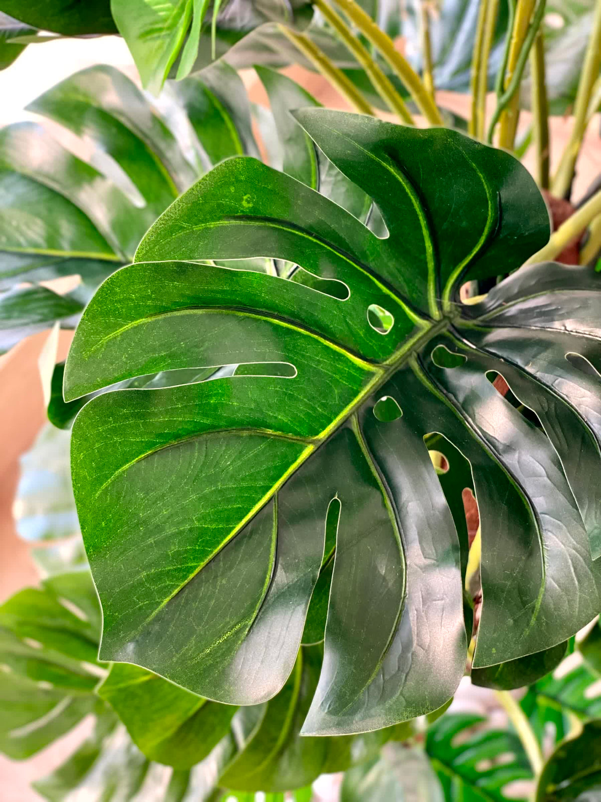 Artificial Monstera Majesty Pole Plant - 4 Feet
