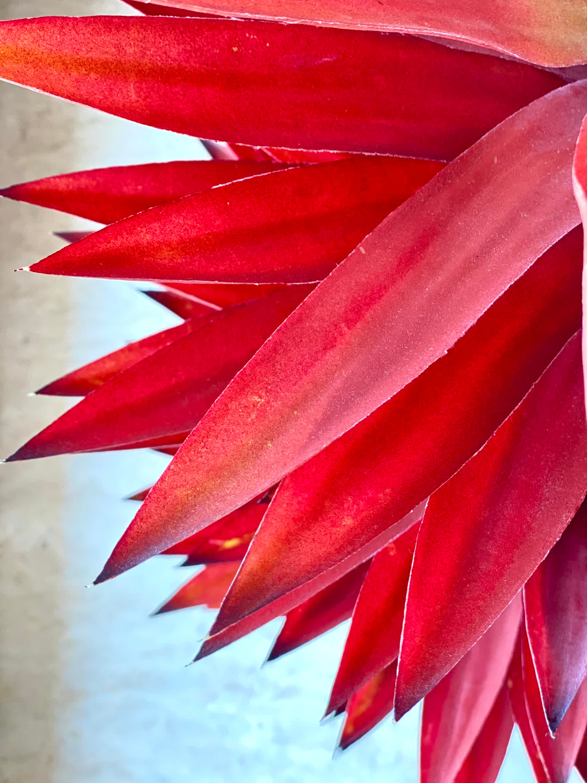 Artificial Red Chiba Agave Plant - 3.6 Feet