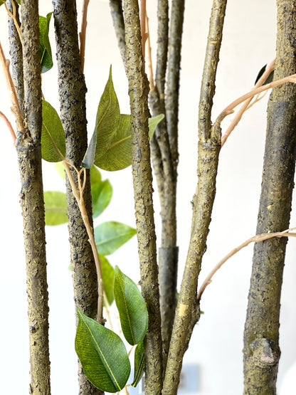 Artificial Weeping Fig Plant  - 6.2 Feet