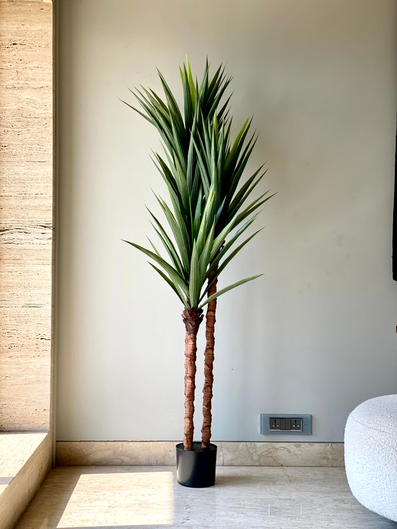 Artificial Yucca Tree - 6 Feet