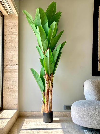 Artificial Banana Palm Tree - 7 Feet