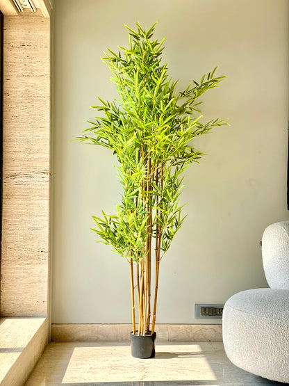 Artificial Japanese Bamboo Tree - 6 Feet