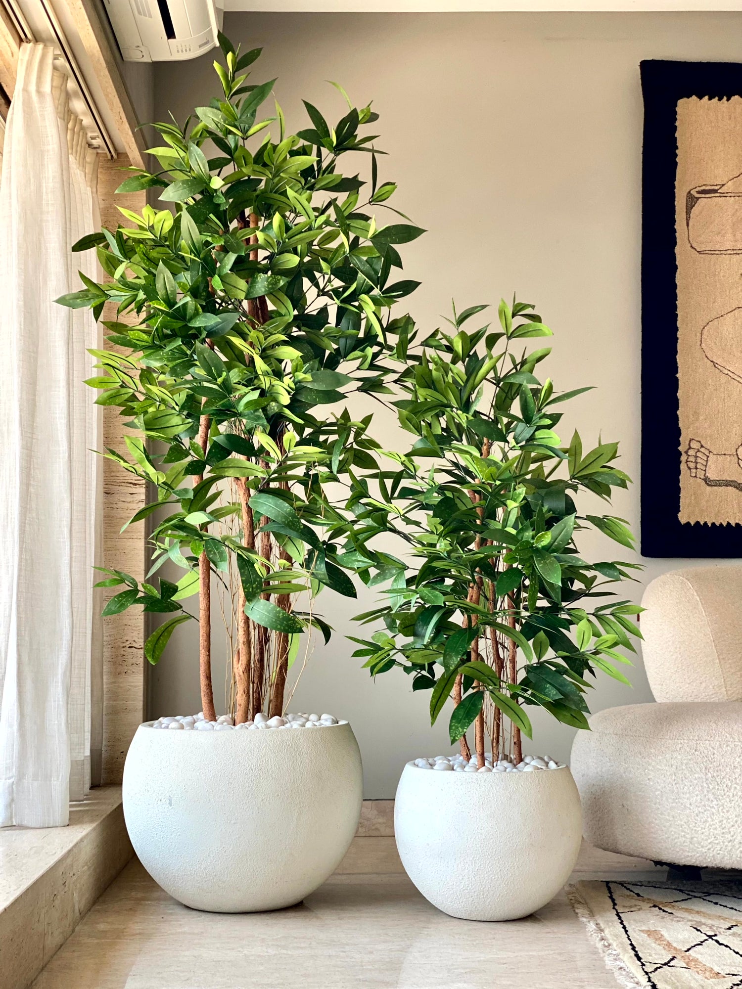 Artificial Dracaena Surculosa Plant - 6 Feet