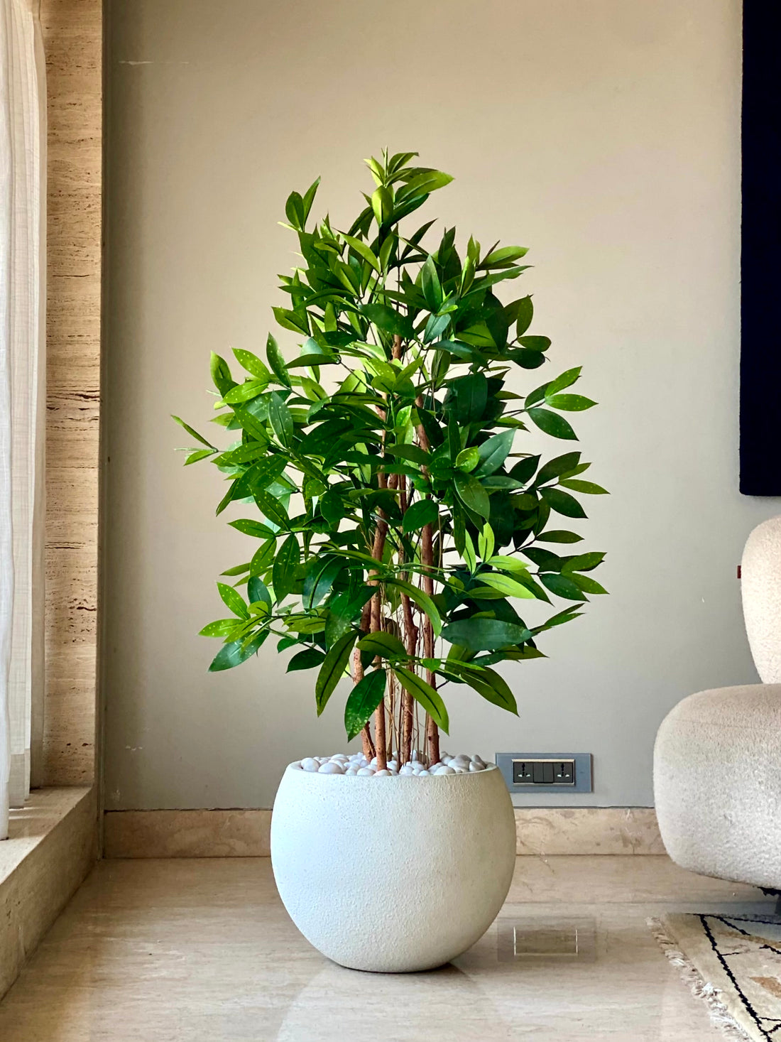 Artificial Dracaena Surculosa Plant - 4 Feet