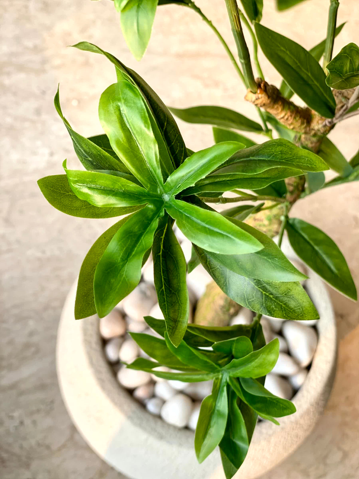Artificial Aralia Green Plant - 4 Feet