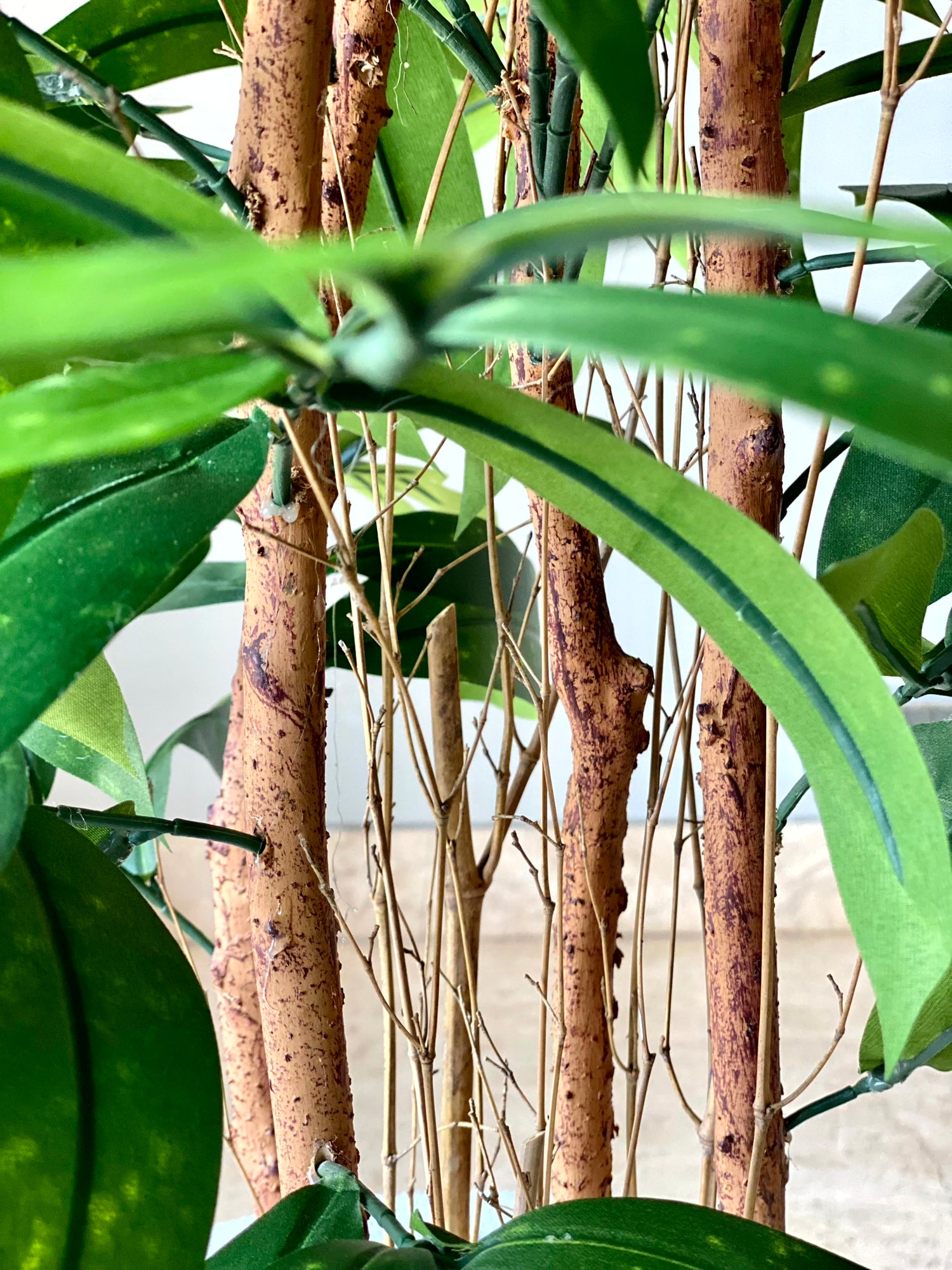 Artificial Dracaena Surculosa Plant - 4 Feet