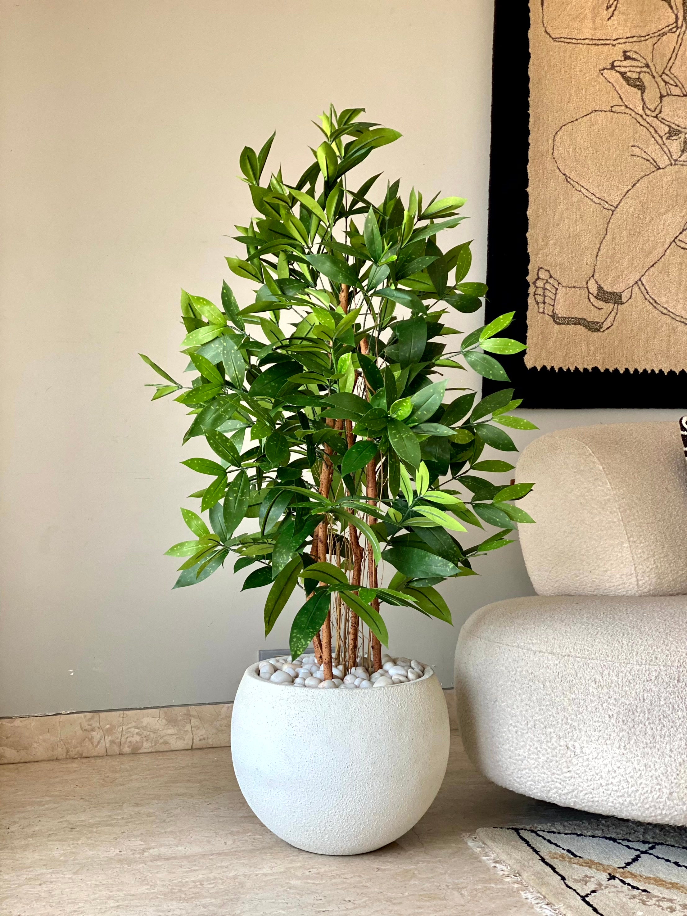 Artificial Dracaena Surculosa Plant - 4 Feet