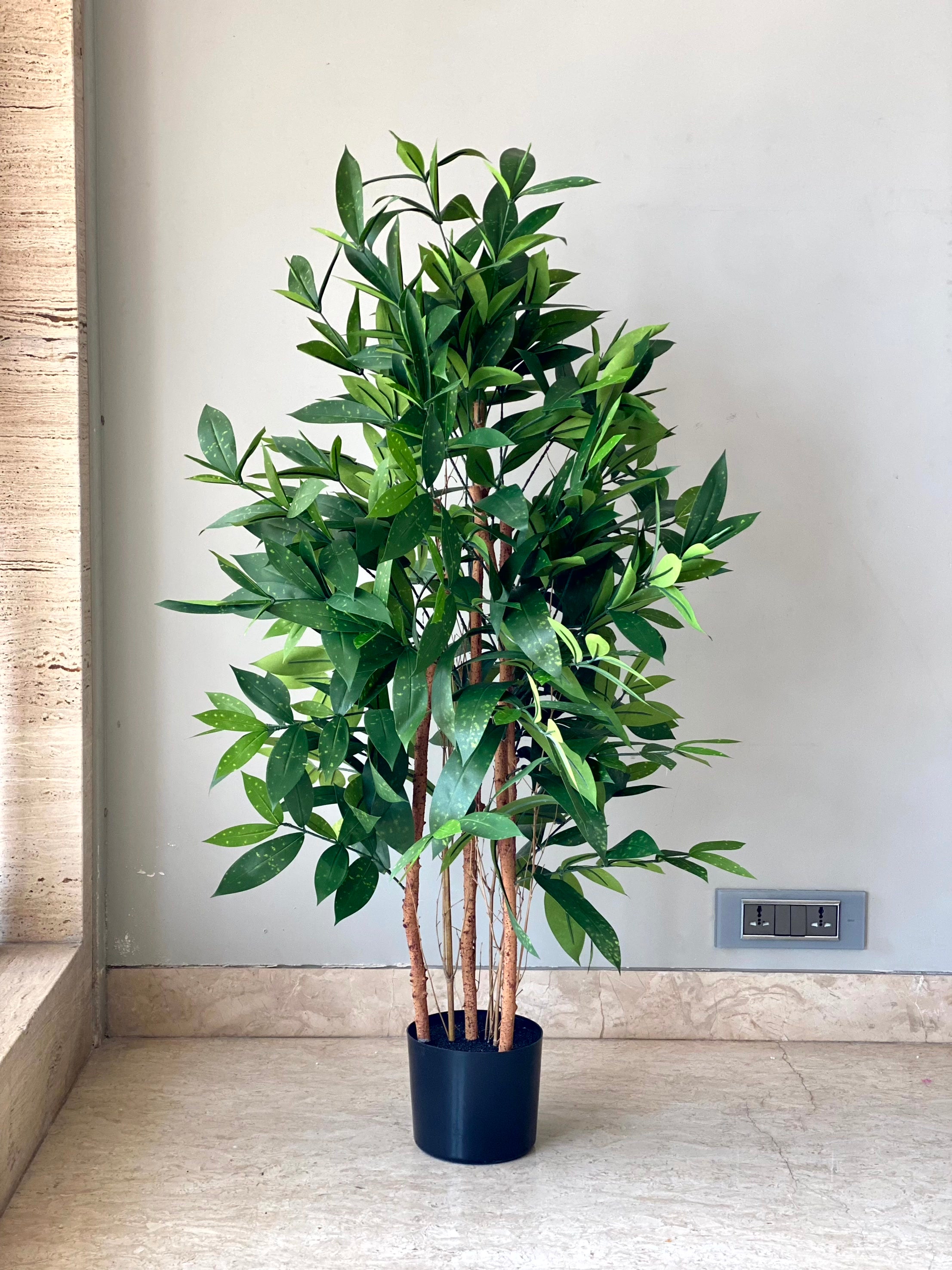Artificial Dracaena Surculosa Plant - 4 Feet