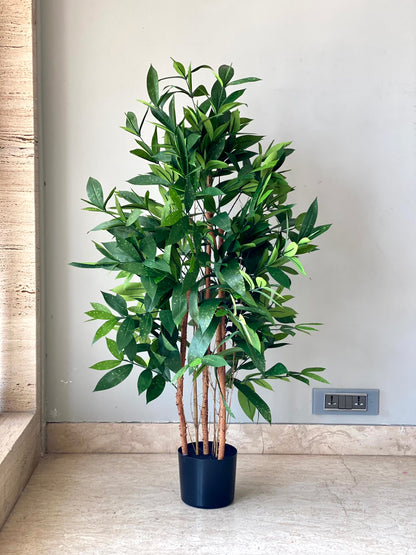 Artificial Dracaena Surculosa Plant - 4 Feet