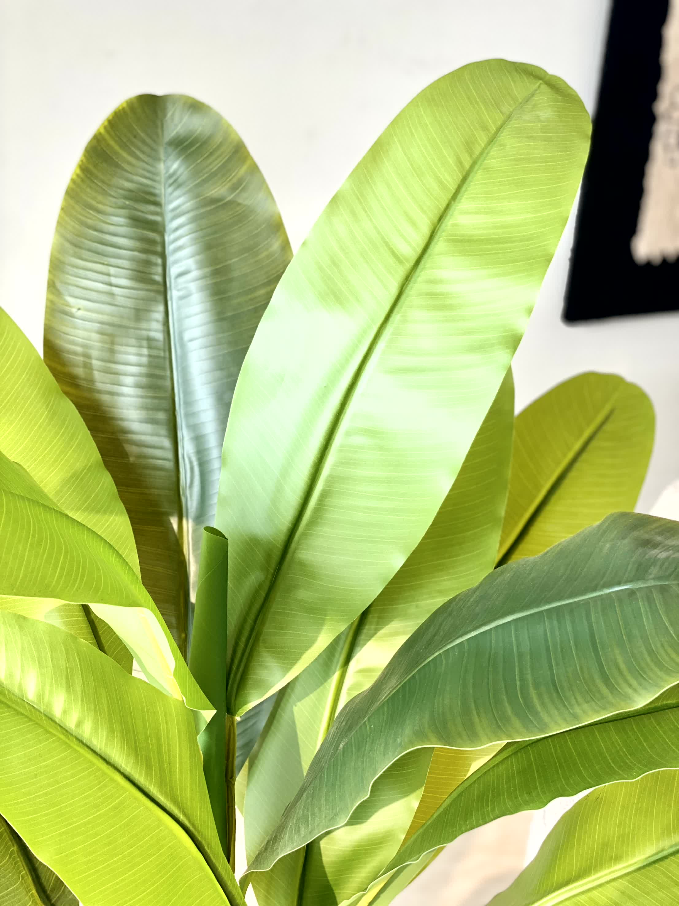 Artificial Banana Grove Plant - 4ft