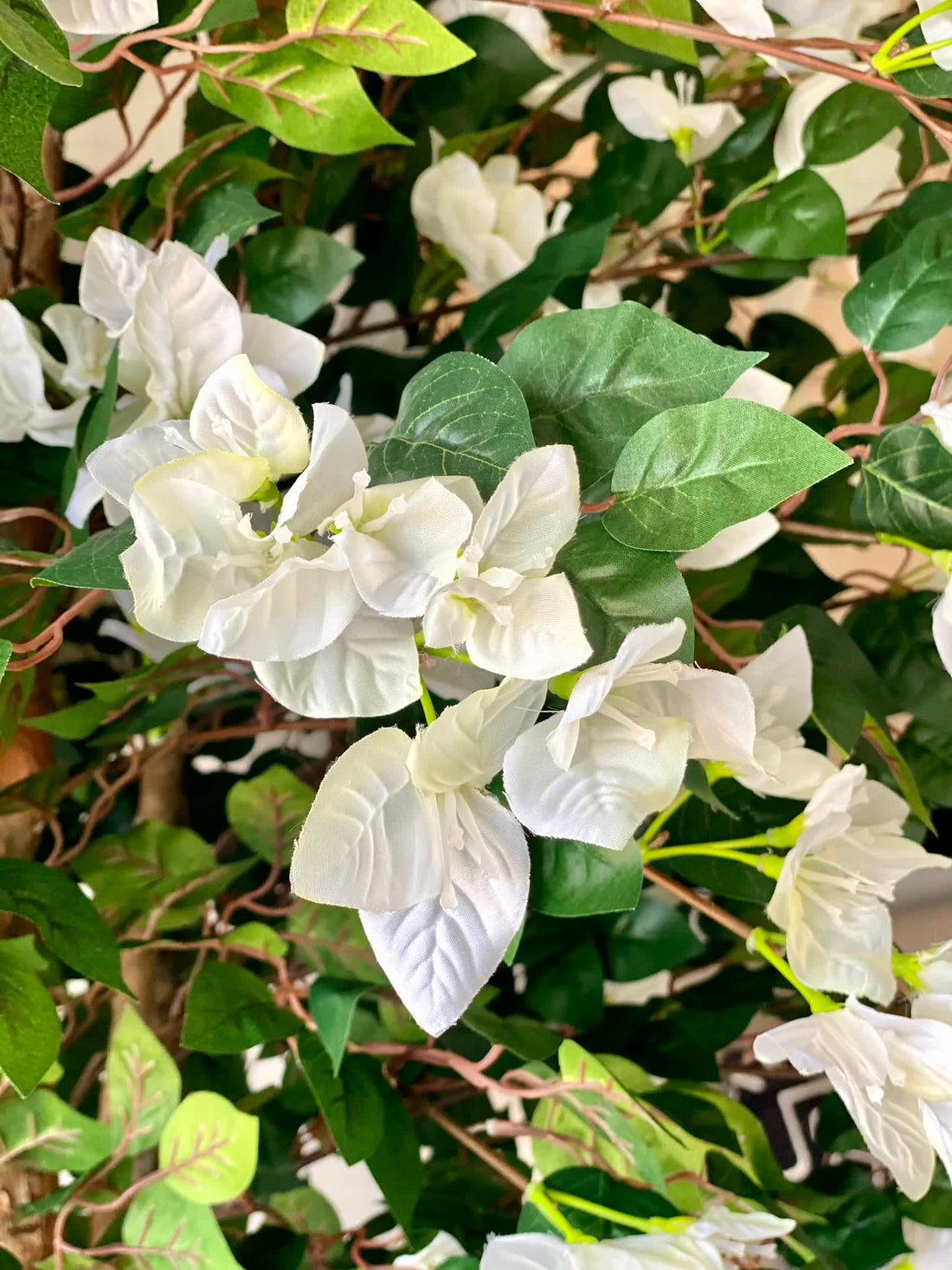 Artificial Regal White Bougainvillea Plant - 7 Feet