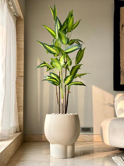 Artificial Bliss Dracaena Plant - 5ft