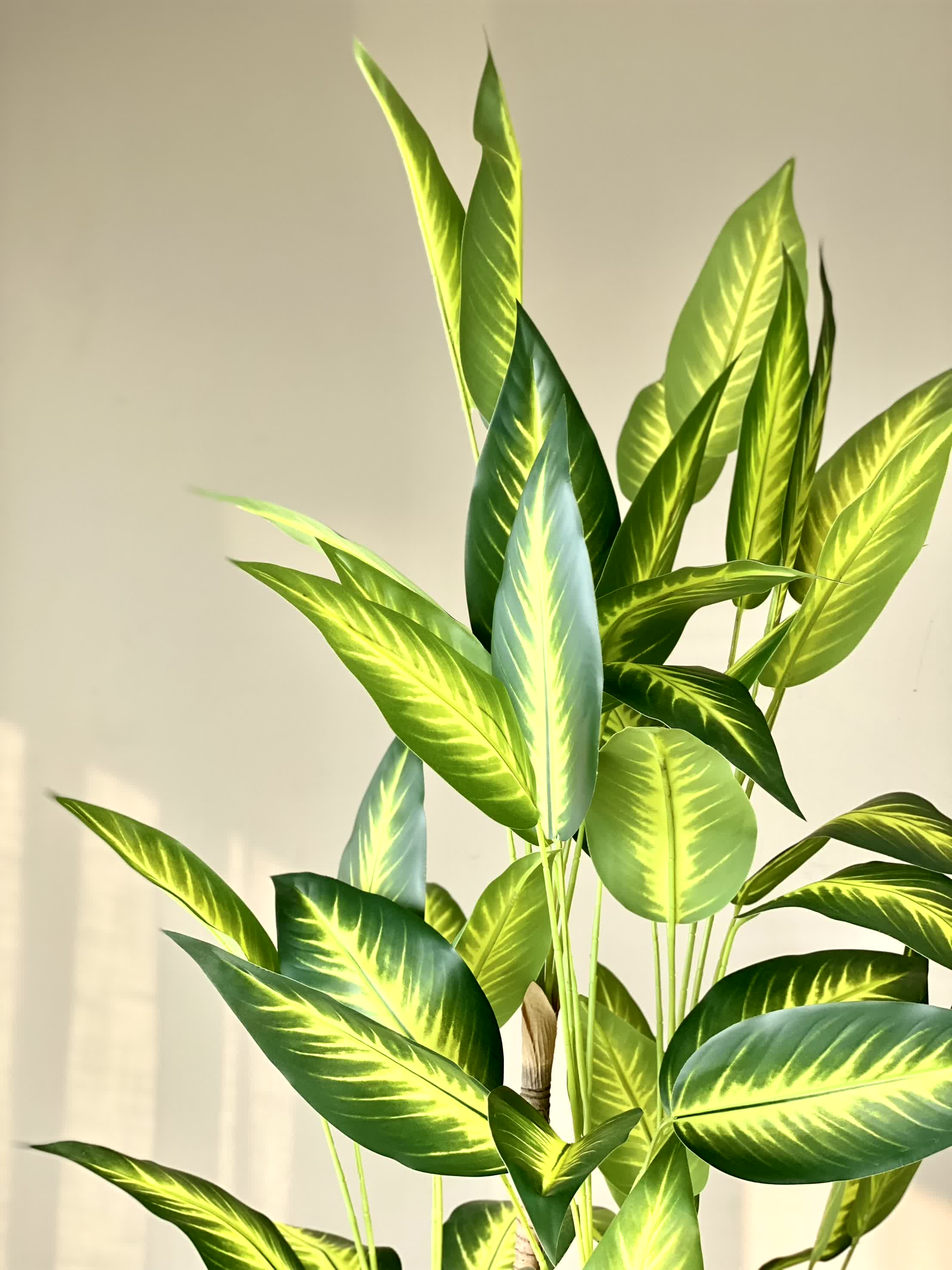 Artificial Bliss Dracaena Plant - 5ft