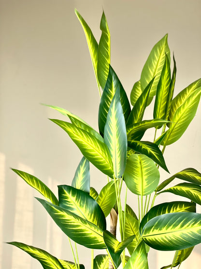 Artificial Bliss Dracaena Plant - 5ft