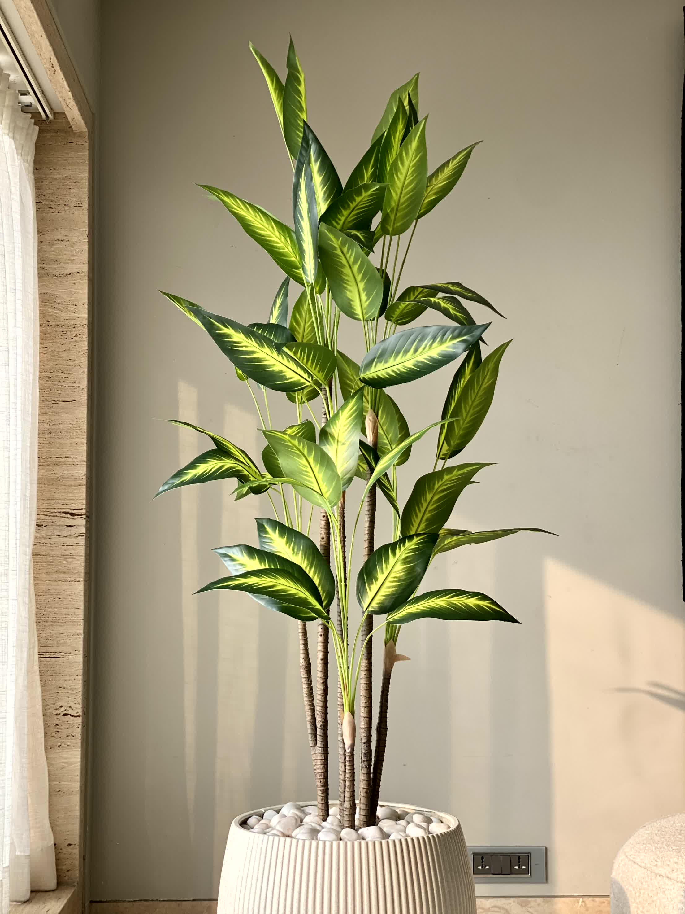 Artificial Bliss Dracaena Plant - 5ft