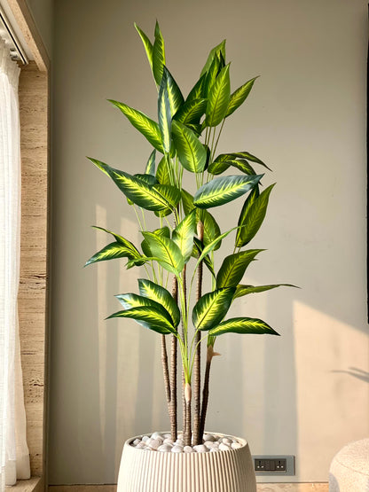 Artificial Bliss Dracaena Plant - 5ft