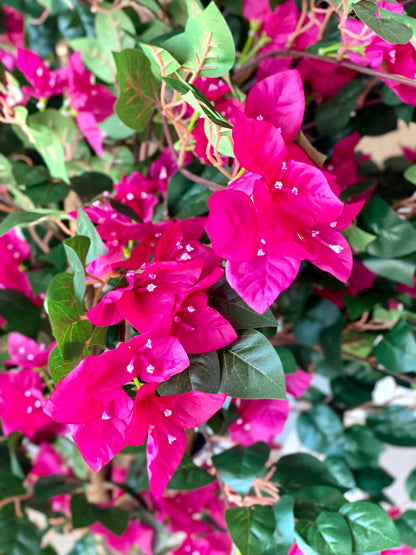 Artificial Regal Pink Bougainvillea Plant - 5 Feet