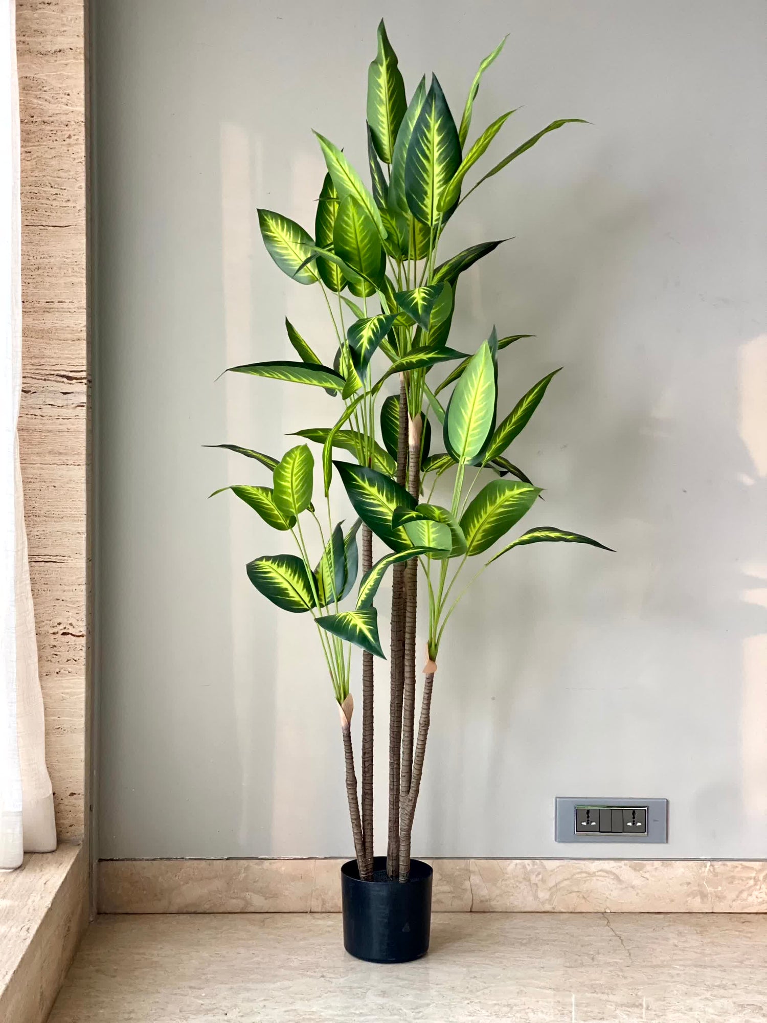 Artificial Bliss Dracaena Plant - 5ft