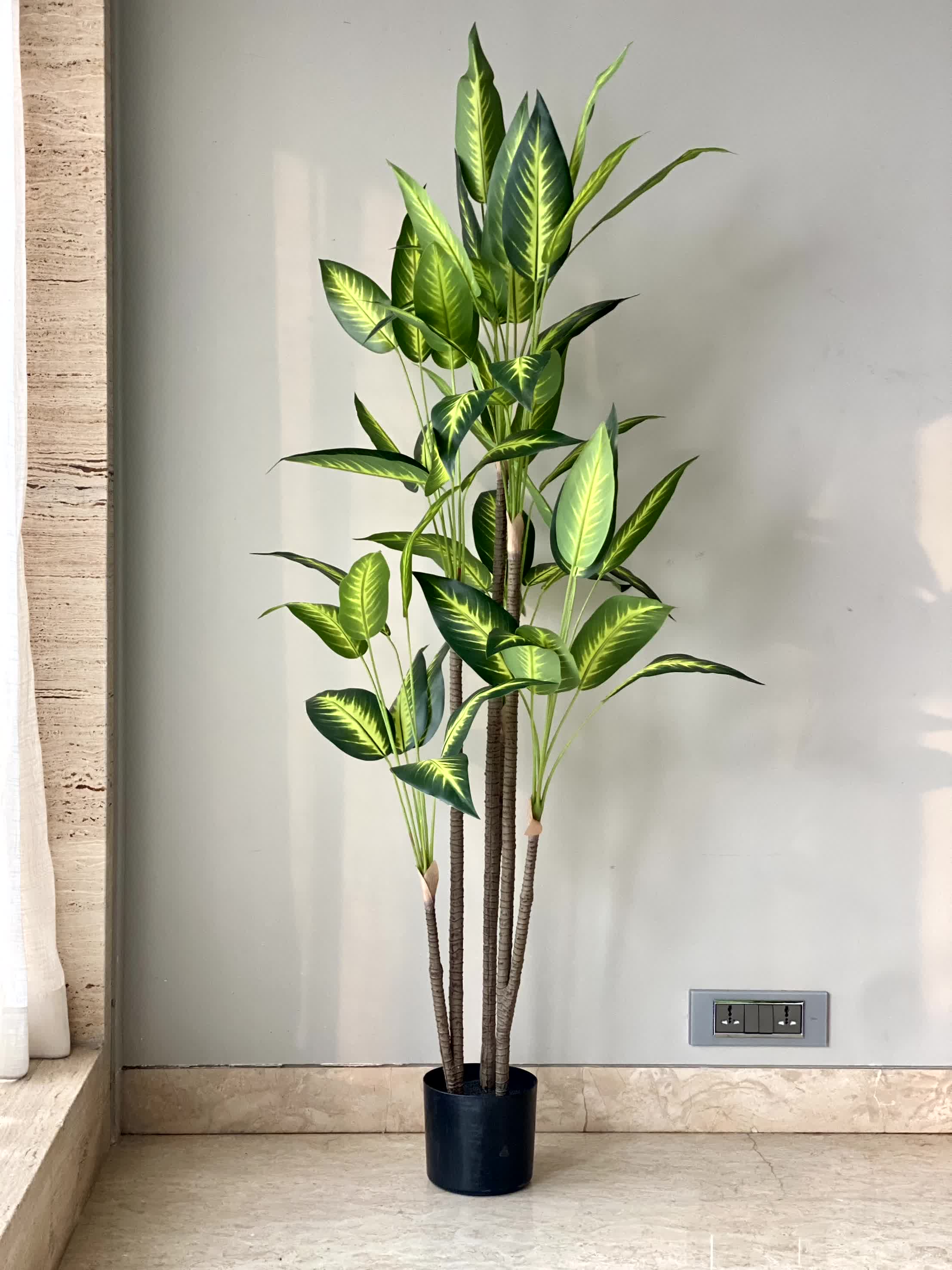 Artificial Bliss Dracaena Plant - 5ft