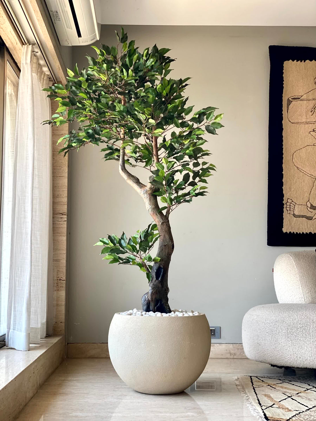 Artificial Twirled Ficus Tree - 6 Feet