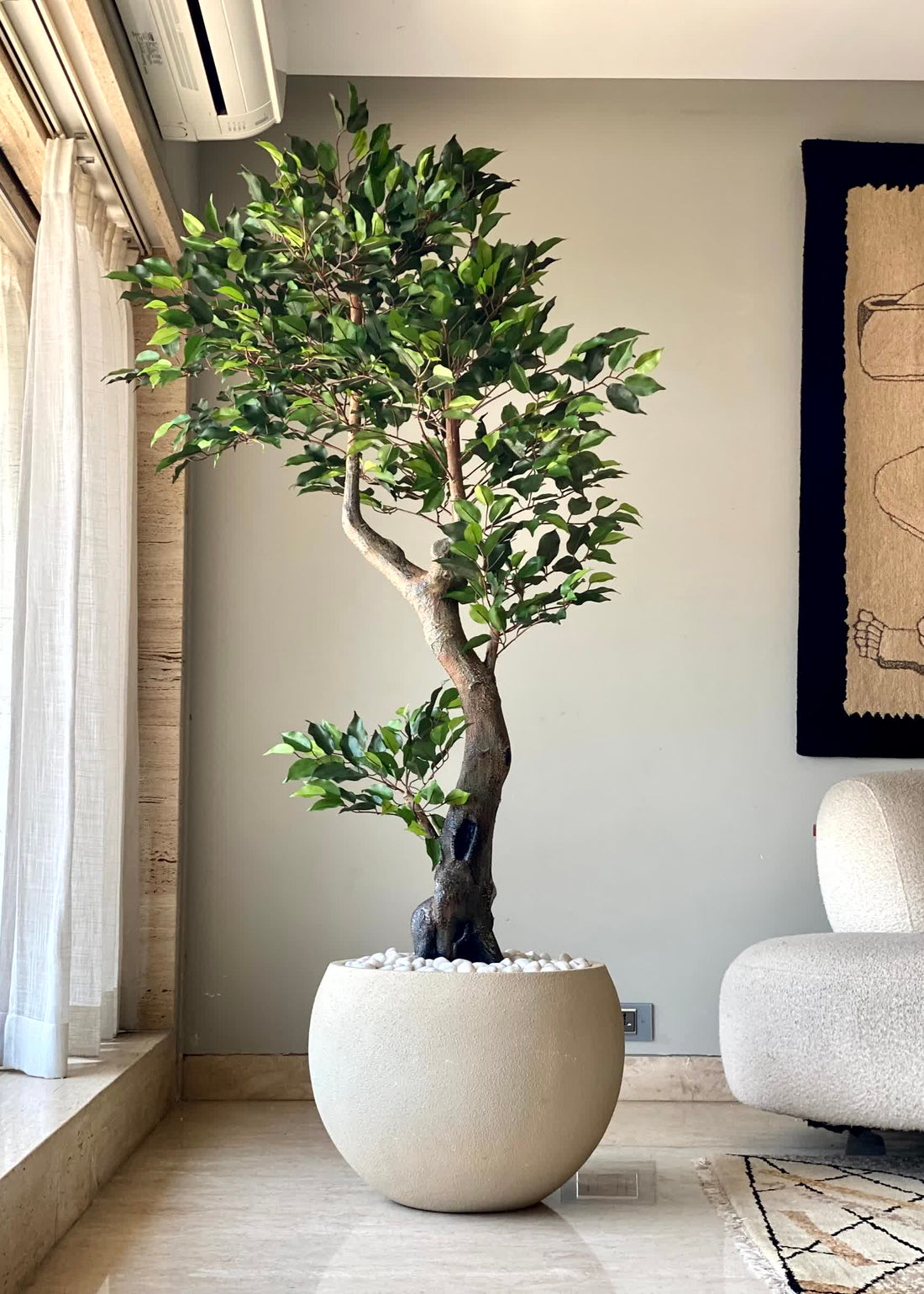 Artificial Twirled Ficus Tree - 6 Feet