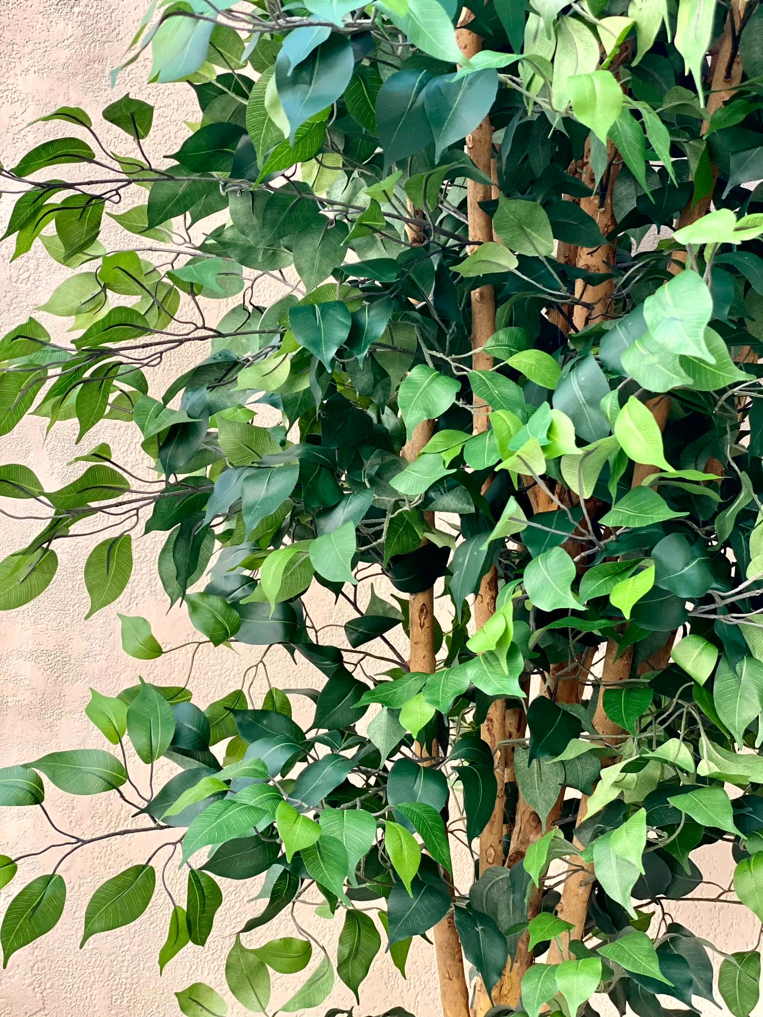 Artificial Ficus Opulence Plant - 9 Feet