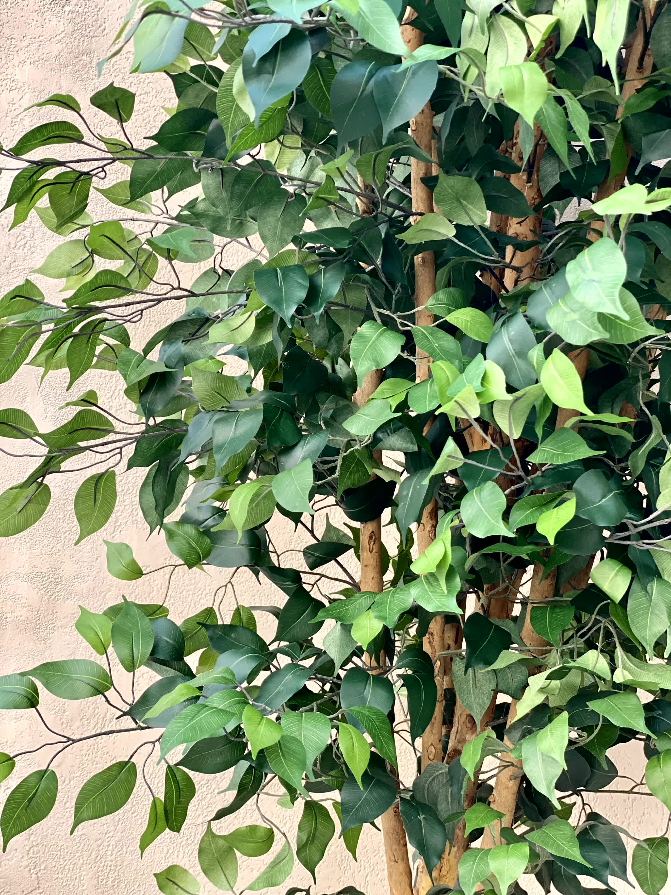 Artificial Ficus Opulence Plant - 9 Feet