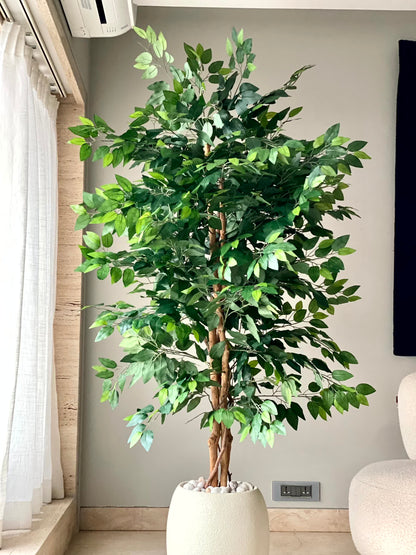 Artificial Ficus Opulence - 6ft