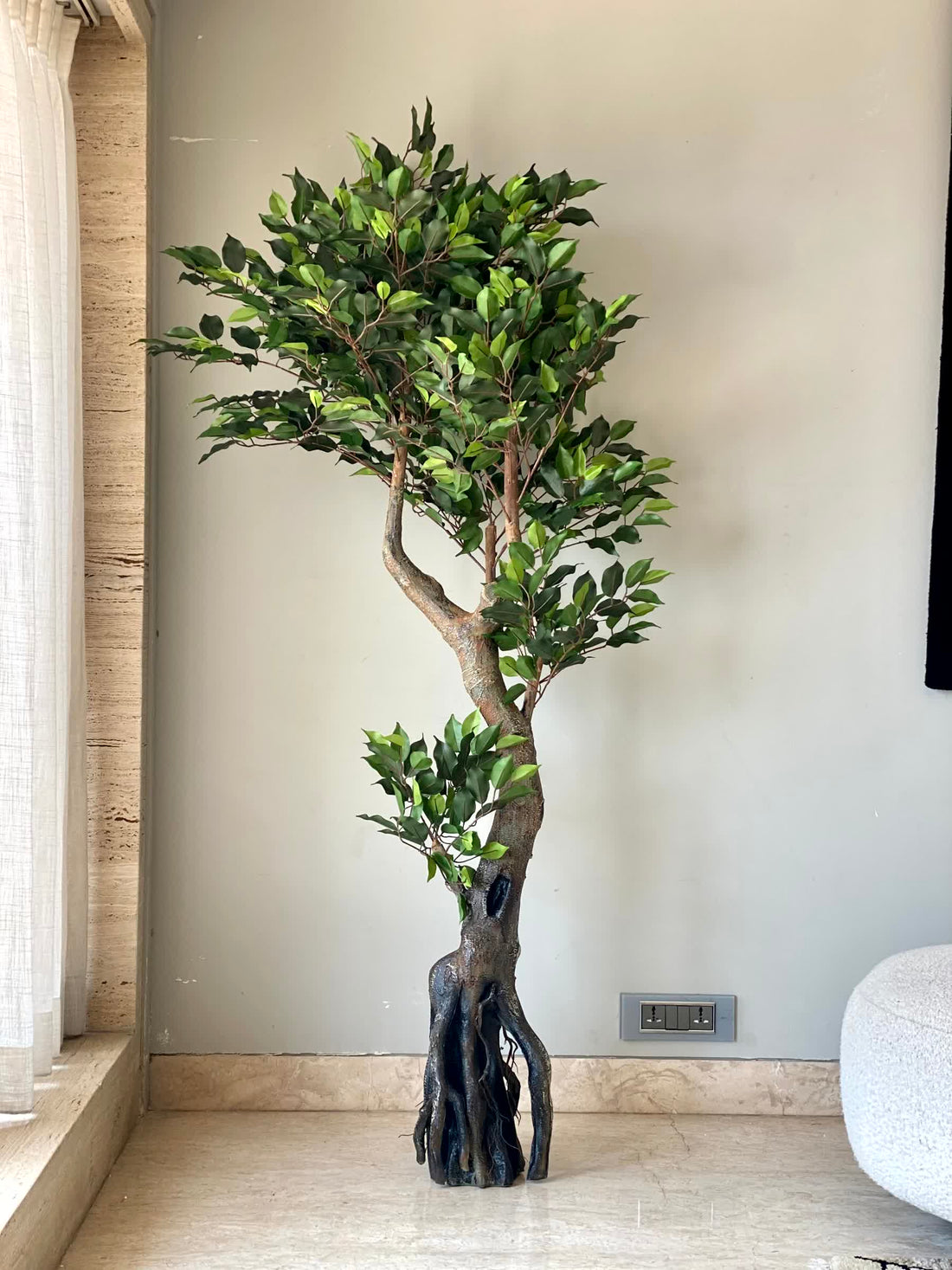 Artificial Twirled Ficus Tree - 6 Feet