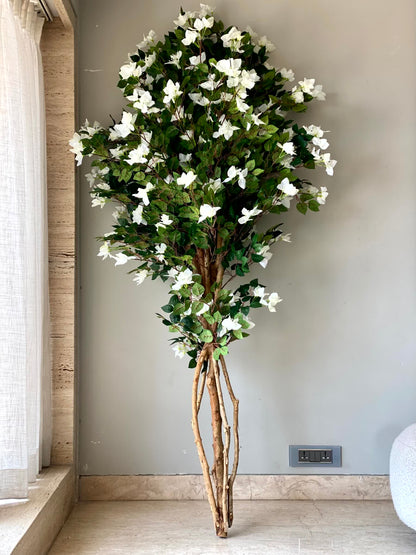 Artificial Regal White Bougainvillea Plant - 7 Feet