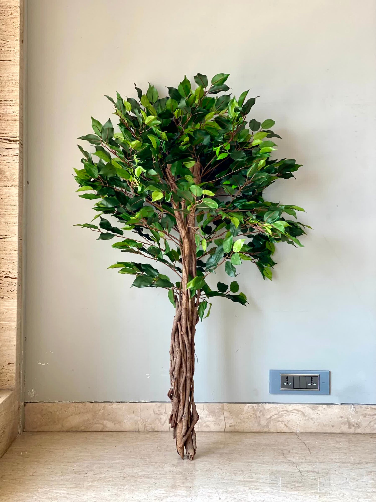 Artificial Natura Ficus Plant - 4 Feet
