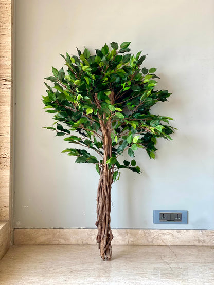 Artificial Natura Ficus Plant - 4 Feet