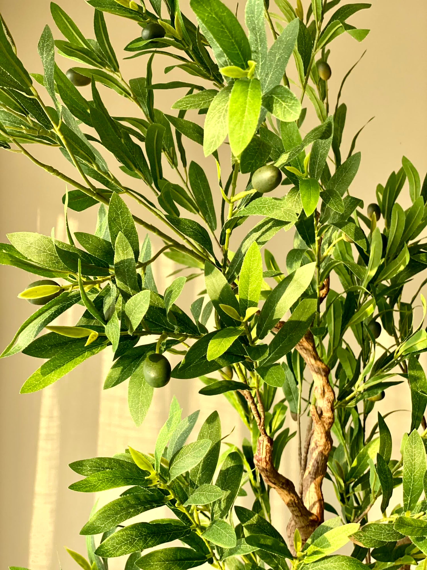 Artificial Lush Olive Plant - 7 Feet