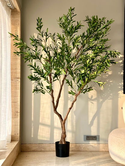 Artificial Lush Olive Plant - 7 Feet