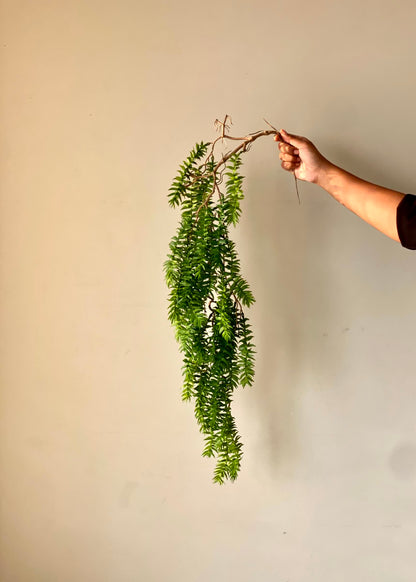 Artificial Thornfall Creeper - Small