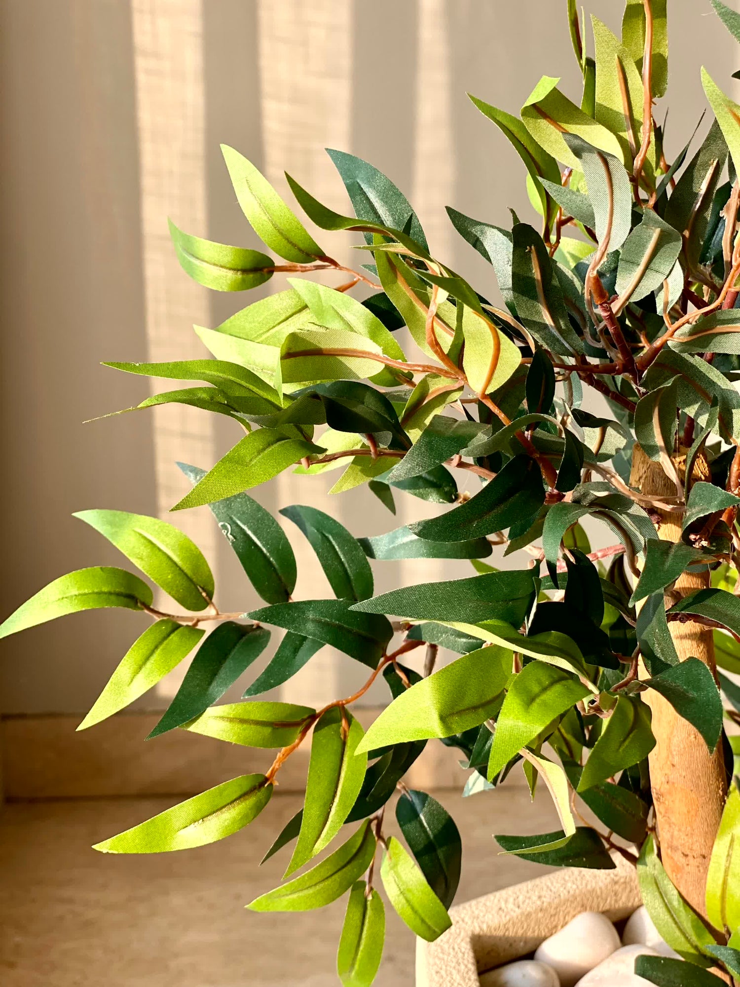 Artificial Ruscus Plant - 6 Feet