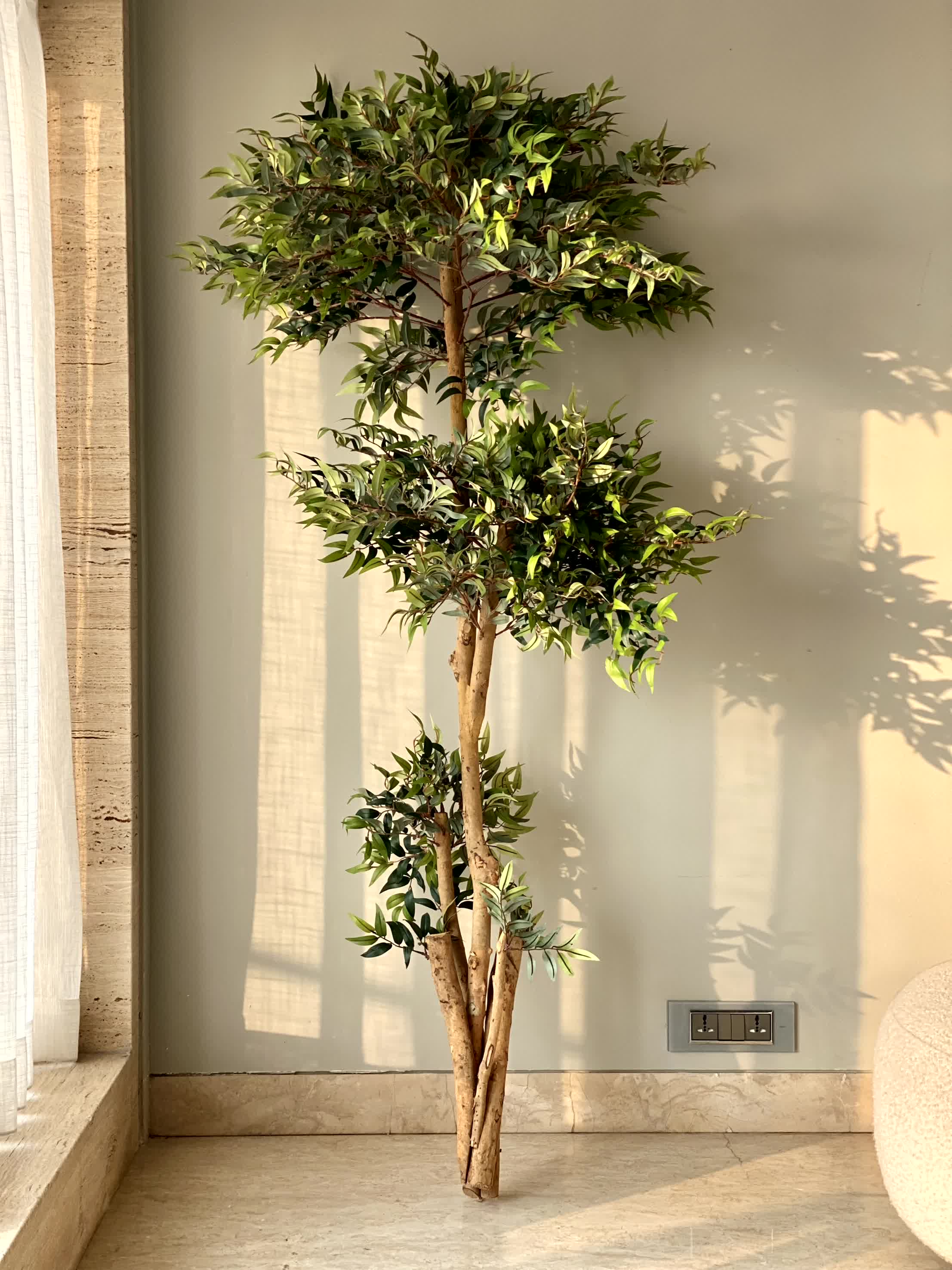 Artificial Ruscus Plant - 6 Feet