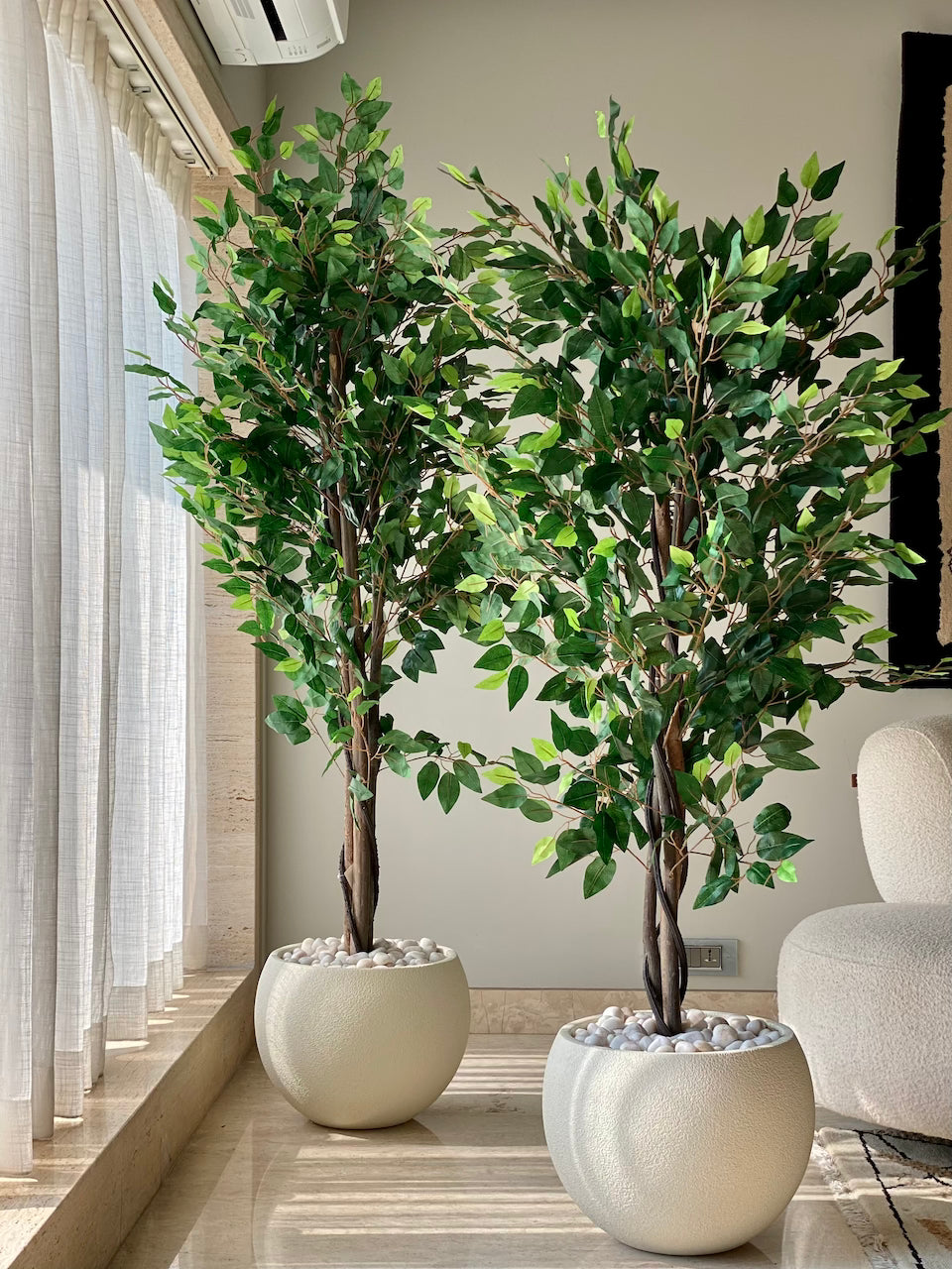 Artificial Jade Ficus Plant - 5.5 Feet