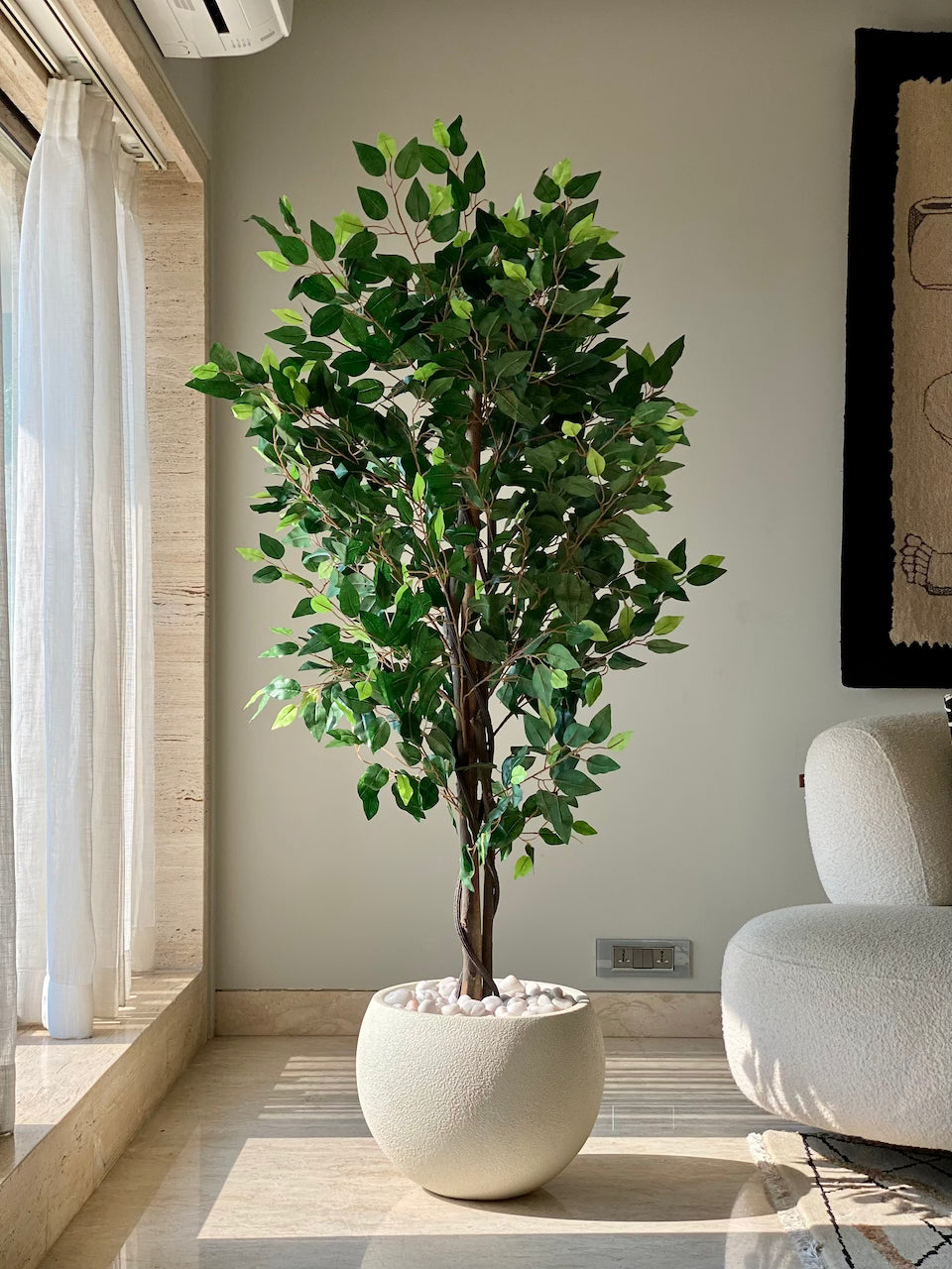 Artificial Jade Ficus Plant - 5.5 Feet