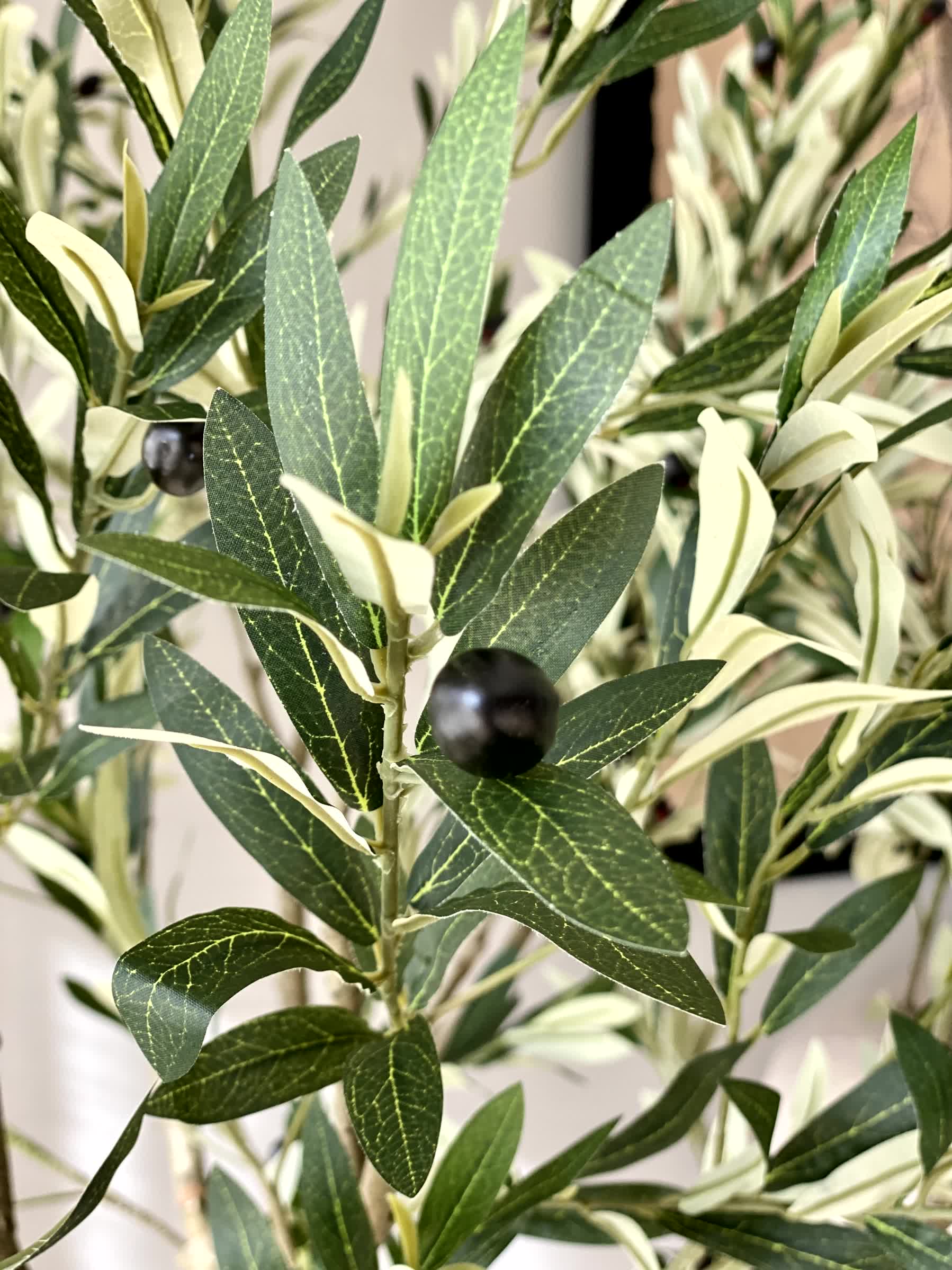 Artificial Mediterria Olive Statement Plant - 6 Feet