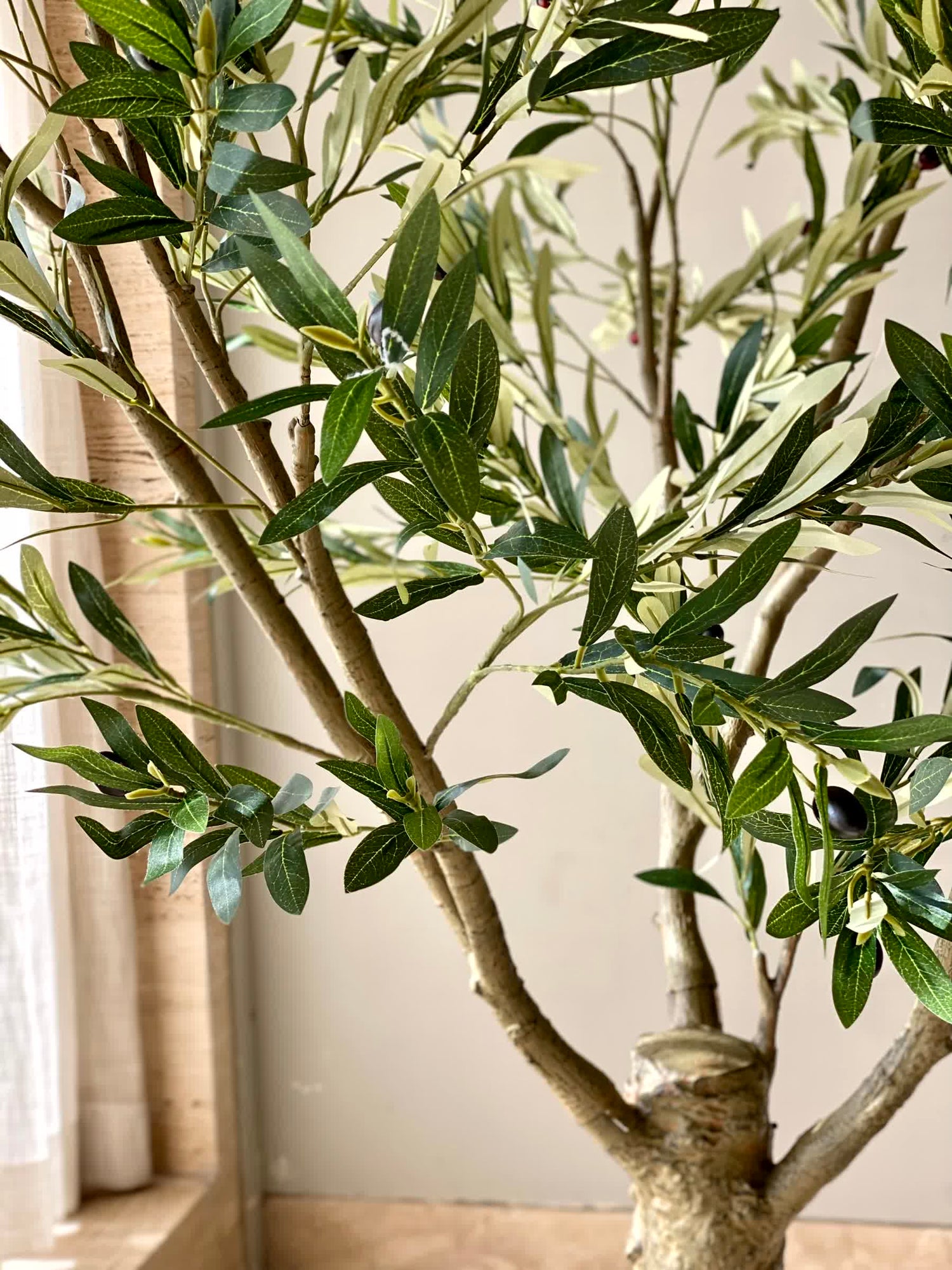 Artificial Mediterria Olive Statement Plant - 6 Feet